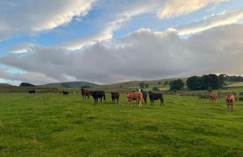 Wild boar barn - Foto 41