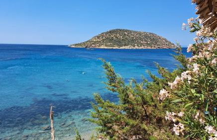 Anemelia & Helios Studio - Foto 49