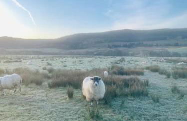 The Pod Over By - Foto 26