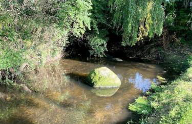 Totally Private, idyllic House with hot tub in an acre of private gardens - Foto 49