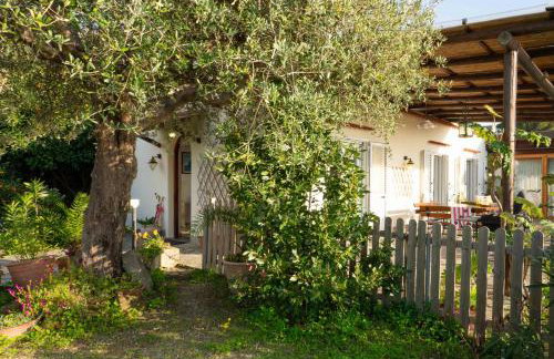 Villa Symphony Sea view - Foto 6