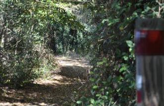 Casa Alfredo - Foto 44