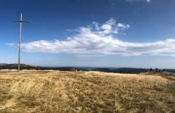 Landhotel und Apartments Sonneck - Photo 26