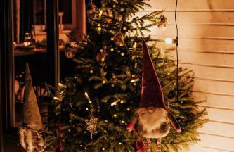 Świerkowisko cisza las plaża blisko - Foto 23