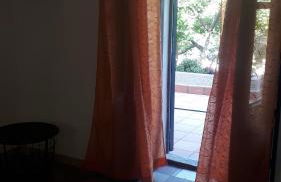 Carrubo - Giardino in città - Foto 15