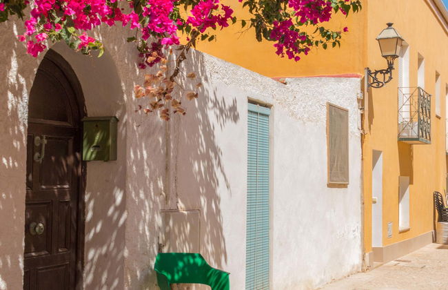 Excursión a la isla de Tabarca y el palmeral de Elche - Foto 1