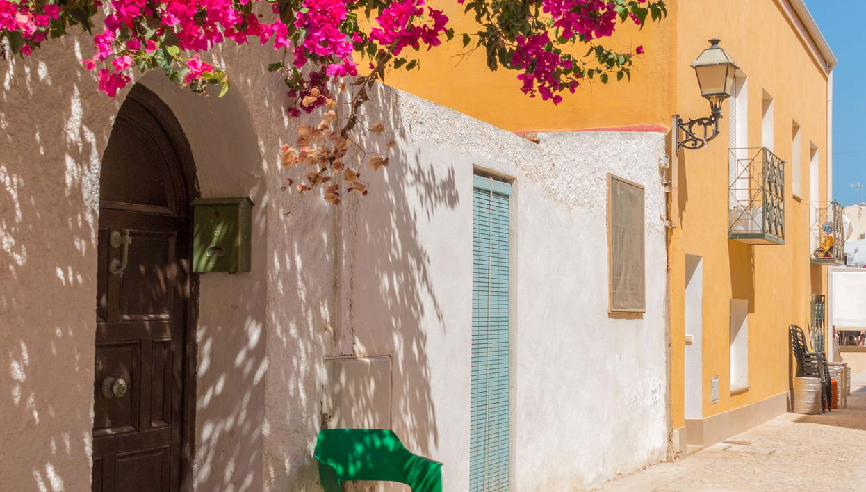 Excursión a la isla de Tabarca y el palmeral de Elche - Foto 1