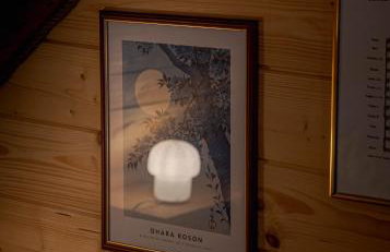 Jarzębinowa - artystyczny dom na Podlasiu - Foto 5