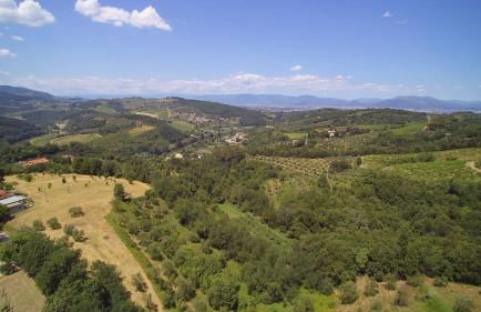 Agriturismo Ai Mandrioli - Foto 9