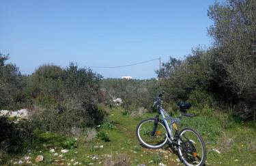 Manolo s olive farm, apartment with seaview - Foto 41