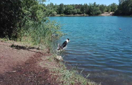 Ferienwohnung "Casa Capurso" - Foto 21