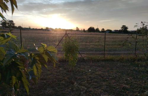 Maison de campagne dans le vignoble Gallacois - Foto 6