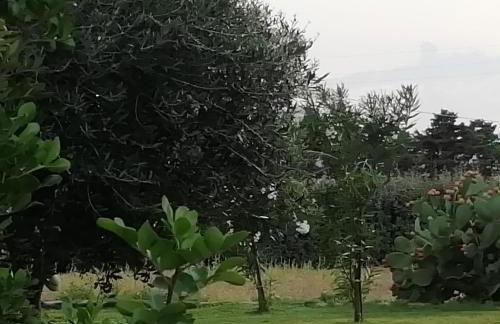 Villa Maria - Foto 20