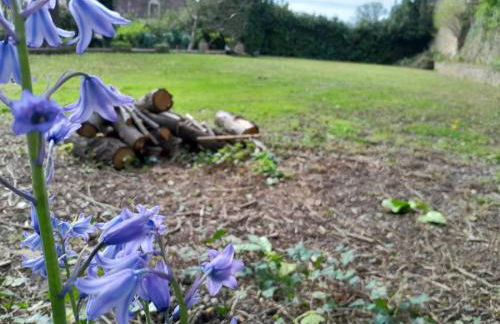 Hôtel des arts - Danse dans le Perche - Foto 15