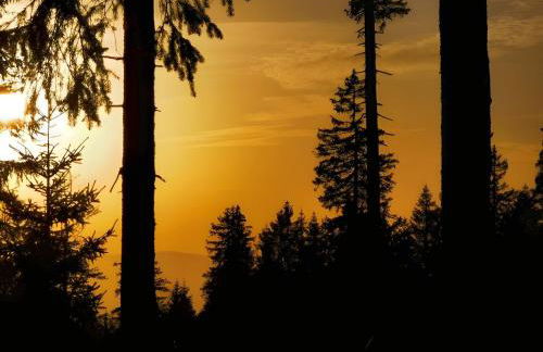 Altes Forsthaus Bodenmais - Foto 49