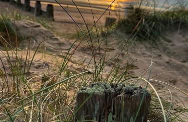 Rock Lobster - Foto 31