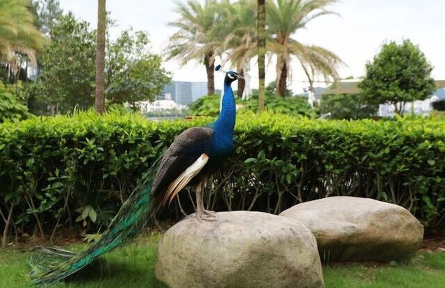 Qiandaohu Our Relax Villa - Foto 19