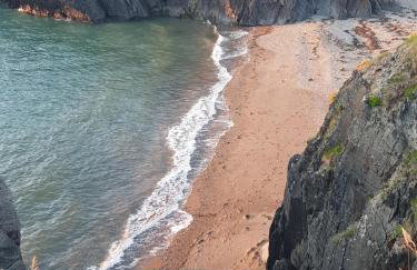 Cosy Cottage overlooking the Teifi Gorge - Foto 31