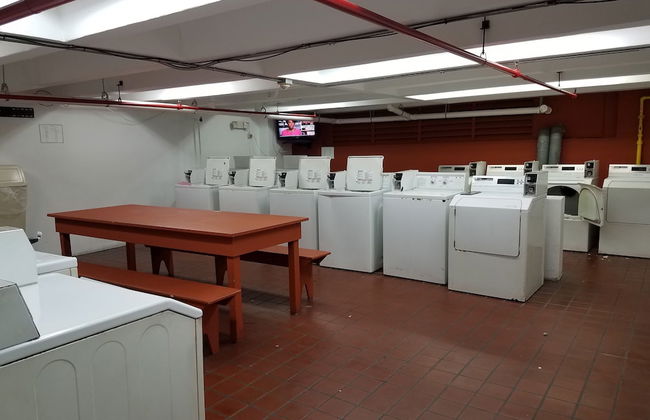 Mare 1660 - Photo 50