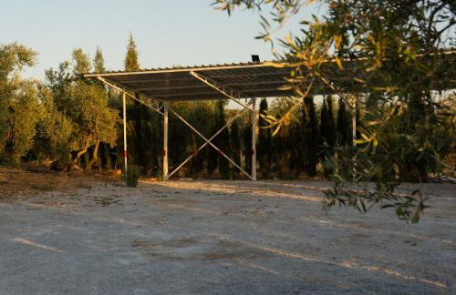 Hermosa Vista - Foto 40