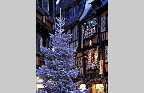 Coeur Alsace - Foto 64