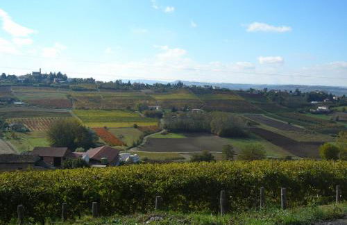 Agriturismo Podere La Piazza - Foto 56