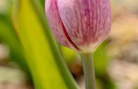 Agriturismo Ravaglia Grande - Photo 57