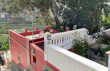 Banana House - Foto 20