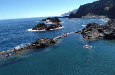 Lazy Lizard by the Ocean - Foto 50