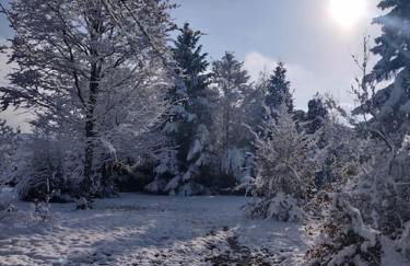 Gite l'Échapée Belle dans les Vosges - Foto 43