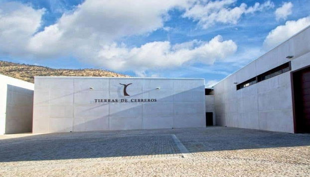 Visita a las bodegas Tierras de Cebreros - Photo 4