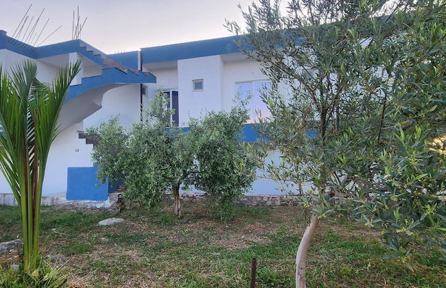 Vila Bashkim - Foto 50