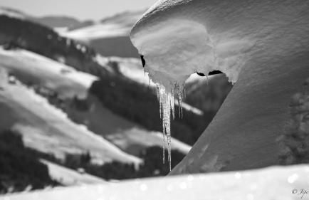 Chez Francine - Photo 17