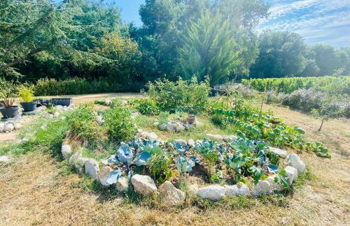 Surf & Skate house, ancien chai viticole. - Foto 23