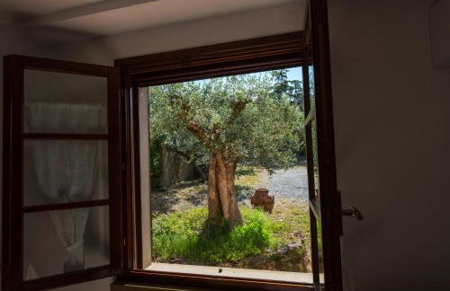 Appartamento bilocale I Cerroni Montescudaio - Foto 22