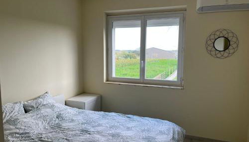 Gîte Chez Paddy - Foto 5