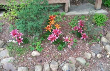 Buffalo River Lodge St Joe AR - Foto 63