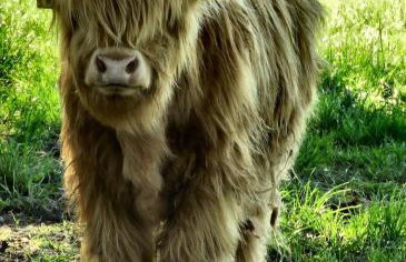 The Old Schoolhouse, Kinross - Foto 41