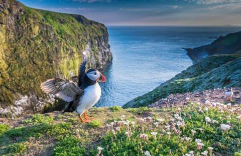 Brookside Apartment - Foto 34