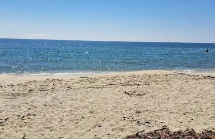 Le jardin de Domi - Foto 27