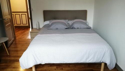 Agréable 2 pièces proche de la Loire - Foto 5