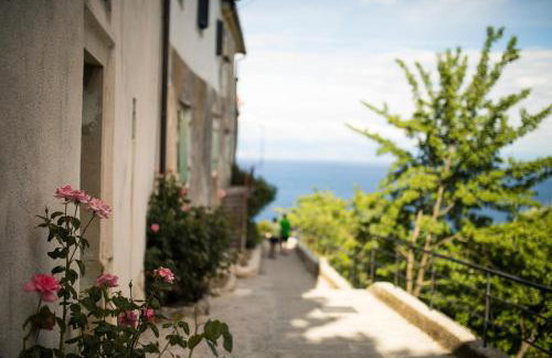 Mošćenice - Foto 37