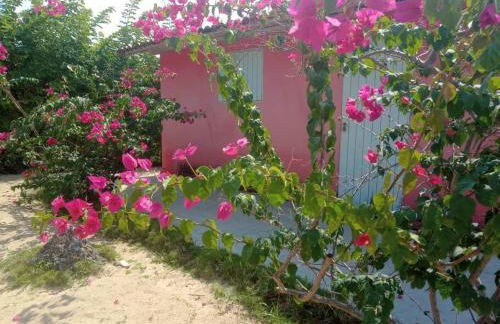 A janela do amanhecer - Photo 33