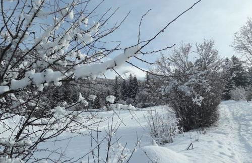 Duplex 59m2 - proche centre - balcon plein sud - Foto 29