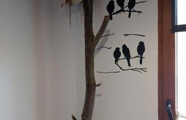 Apartamentos CASA RURAL EL VENTANICO - Foto 12