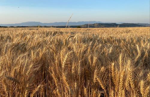 Apartamento El Robledal - Foto 49