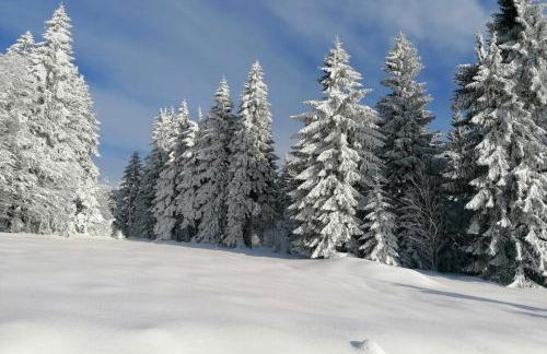 Ferienwohnungen Christa Grabmeier - Foto 25