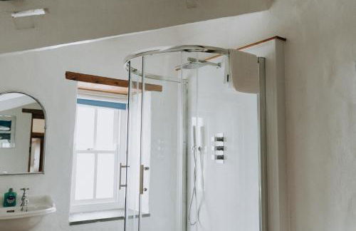 Treleddyn Farmhouse - Photo 73