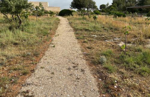 FICOMORO FARM - Foto 33