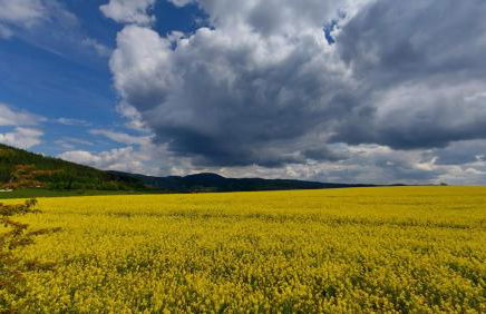Ferienhaus Am Kirchberg - Foto 8